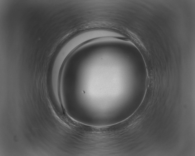 X0000083980538200702232047