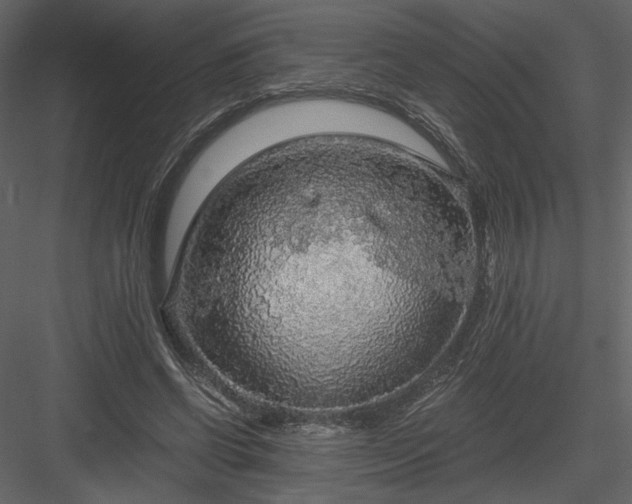 X0000083980542200702232047