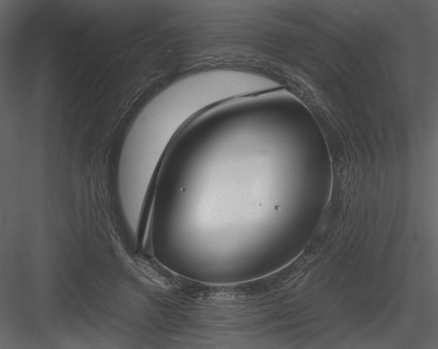 X0000083980546200702232047