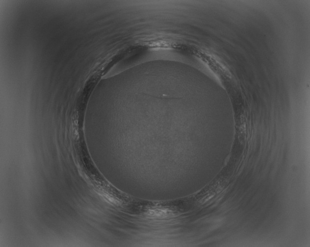 X0000083980547200702232047