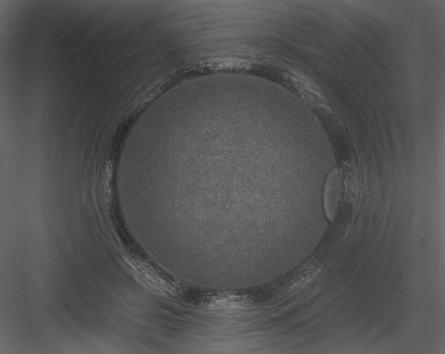 X0000083980550200702232047