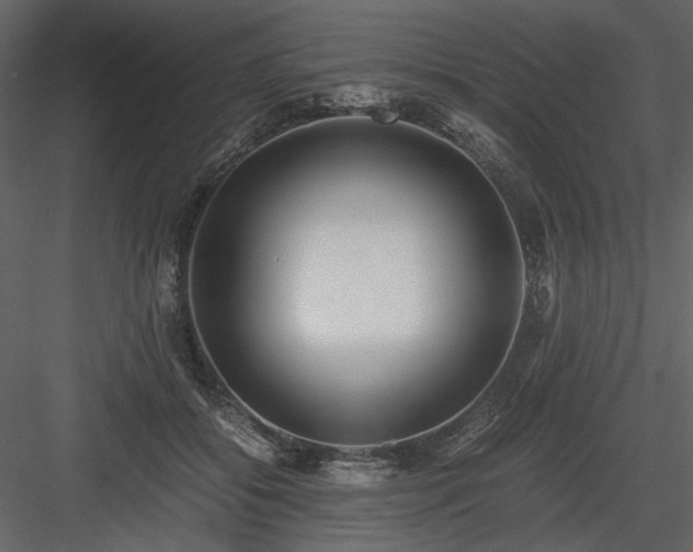 X0000083980556200702232047