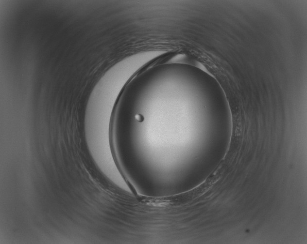 X0000083980560200702232047