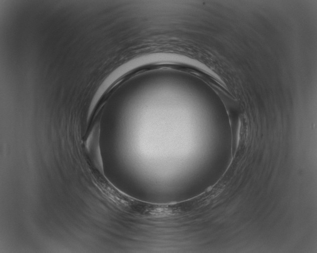 X0000083980562200702232047