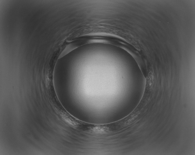 X0000083980566200702232047