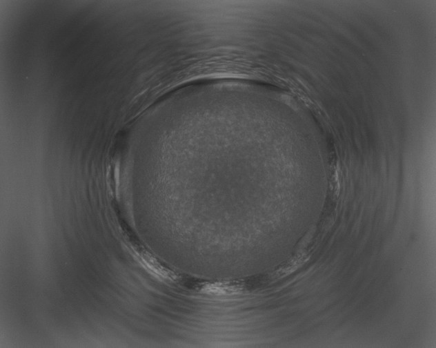 X0000083980568200702232047