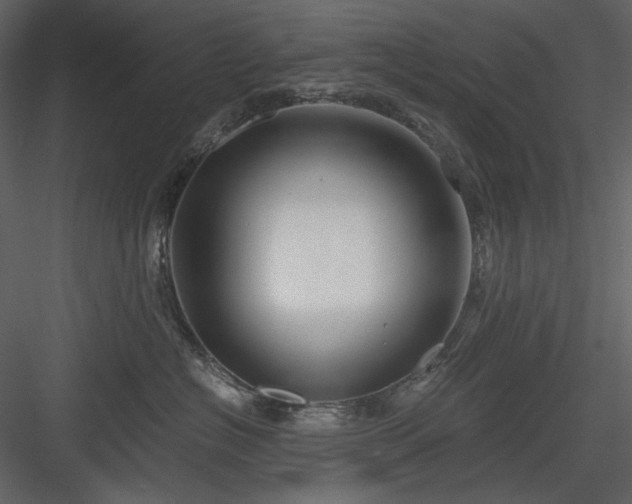 X0000083980574200702232048