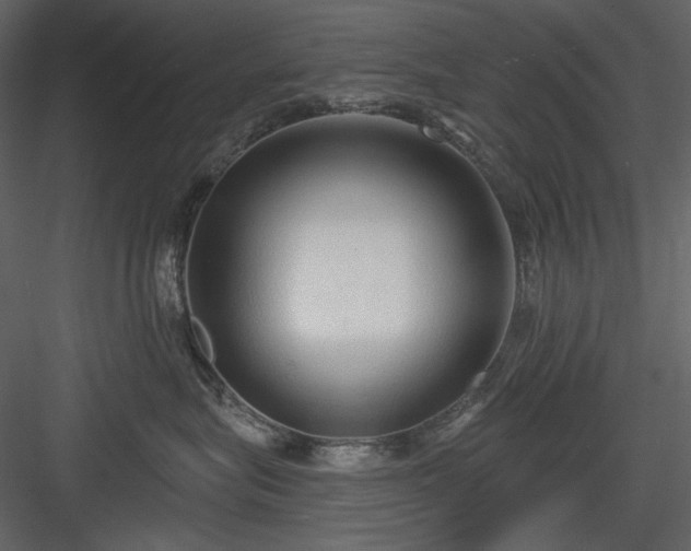 X0000083980575200702232048