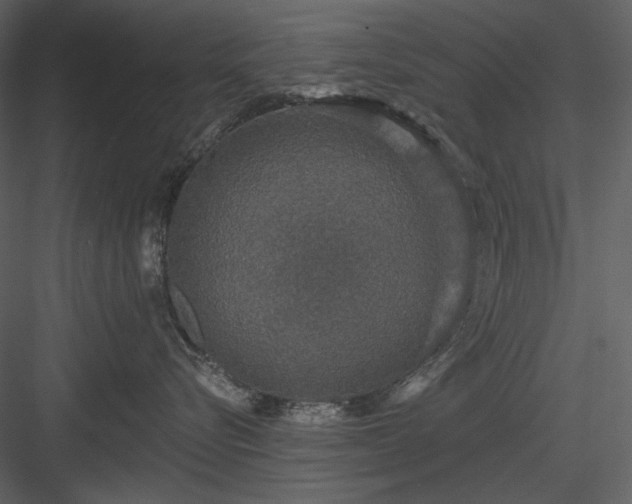X0000083980576200702232048