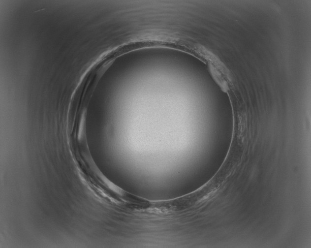 X0000083980580200702232047