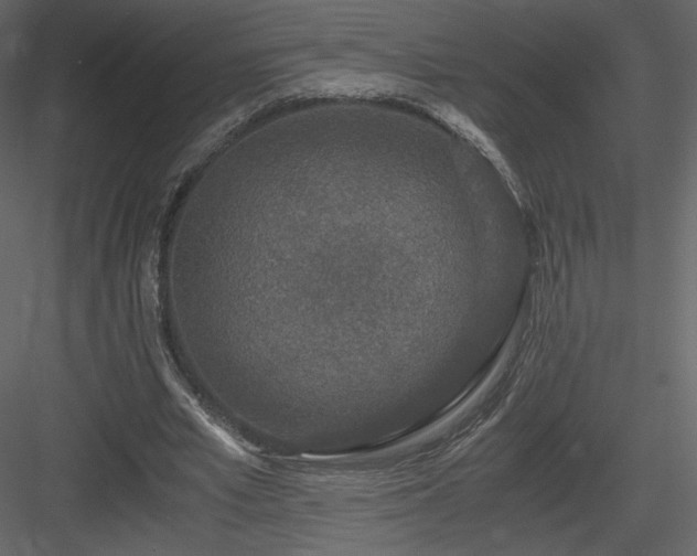 X0000083980581200702232047