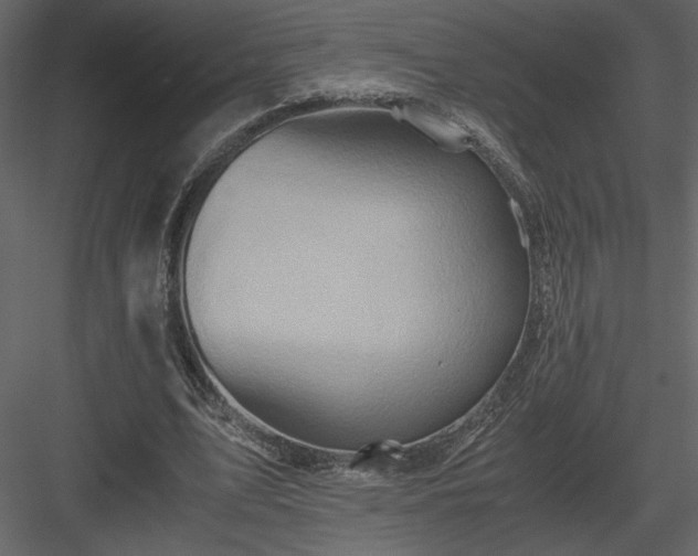 X0000083980583200702232047