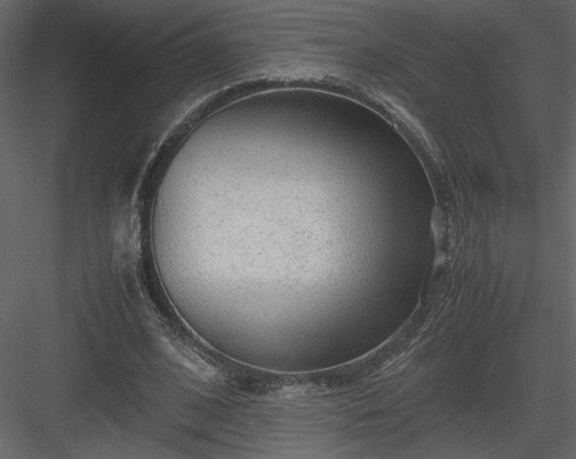 X0000083980584200702232047