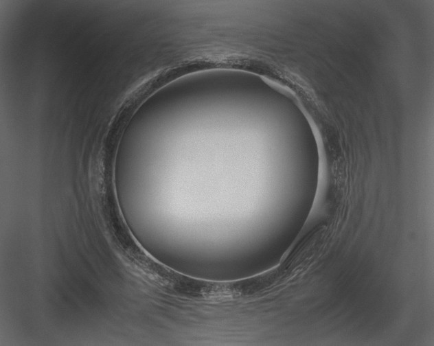 X0000083980587200702232047