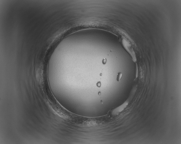 X0000083980588200702232047