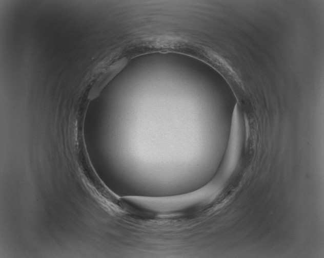 X0000083980589200702232047