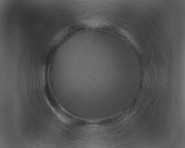 X0000083980590200702232047