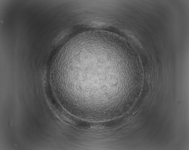 X0000083980591200702232047