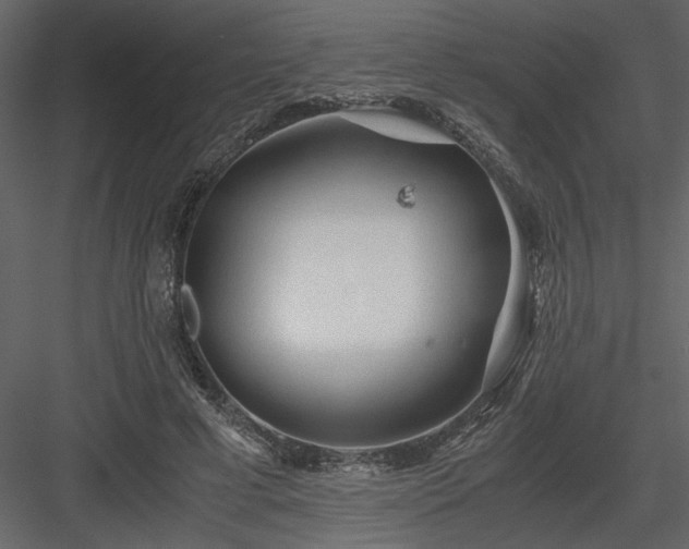 X0000083980593200702232046