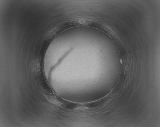 X0000083980595200702232046