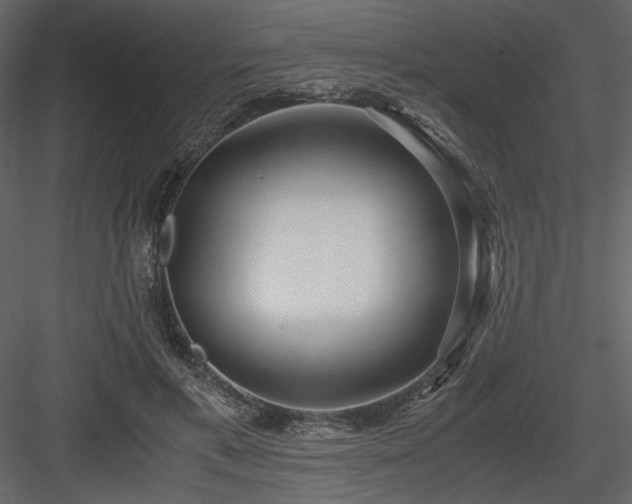 X0000083980597200702232046