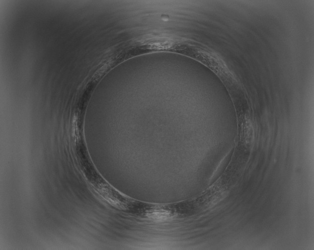 X0000083980598200702232046