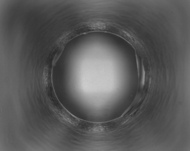 X0000083980600200702232046