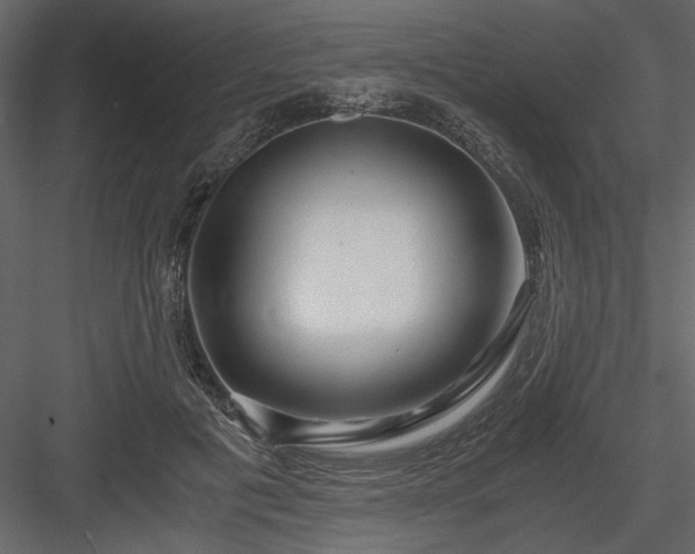 X0000083980601200702232046