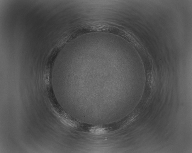 X0000083980602200702232046