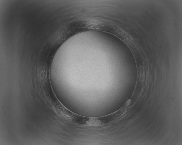 X0000083980603200702232046