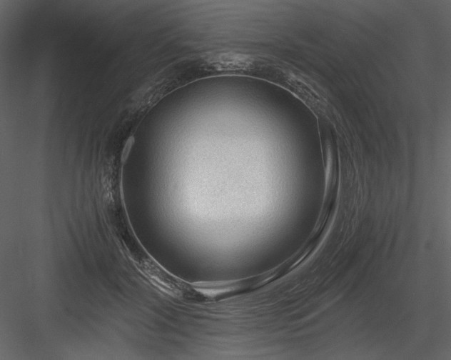 X0000083980604200702232046