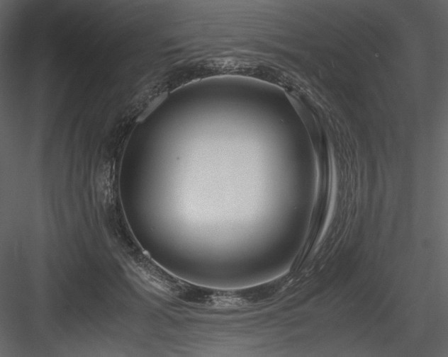 X0000083980605200702232046
