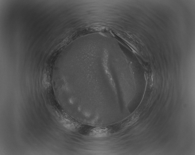 X0000083980606200702232046