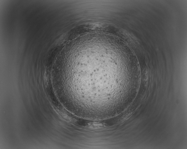 X0000083980607200702232046