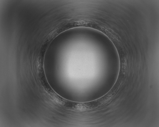 X0000083980608200702232046