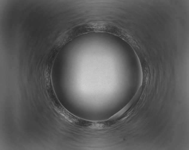 X0000083980609200702232046
