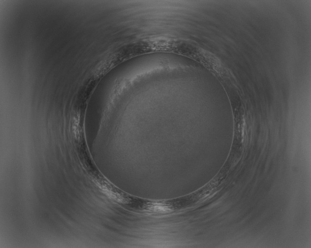 X0000083980610200702232046