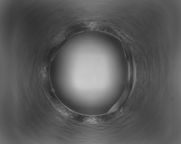 X0000083980611200702232046