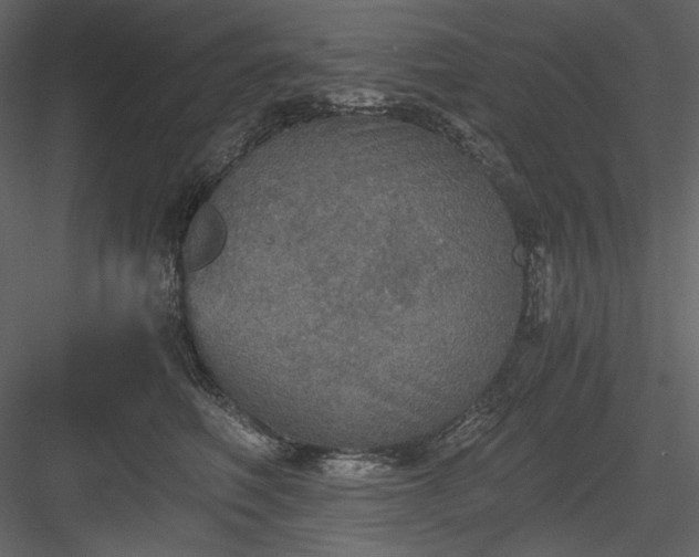 X0000083980614200702232046