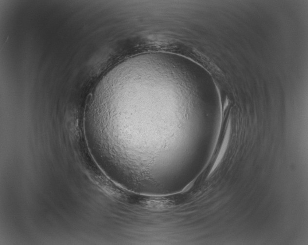 X0000083980615200702232046