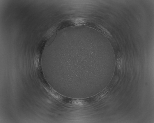 X0000083980618200702232046