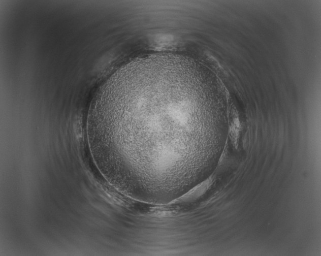 X0000083980620200702232046