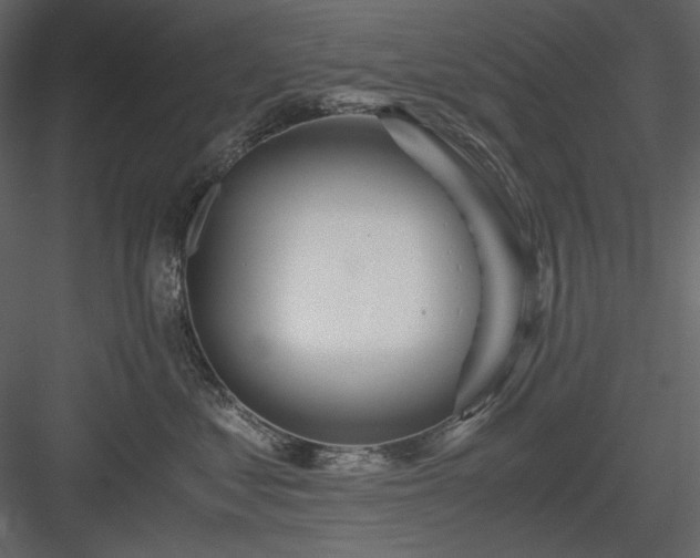 X0000083980621200702232046