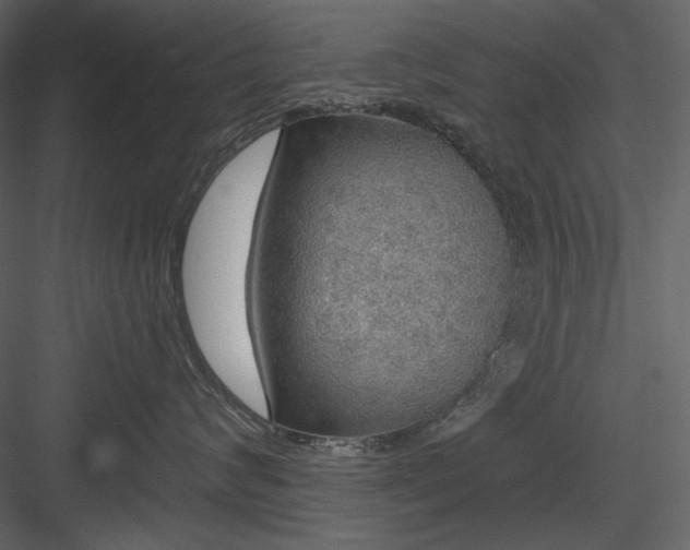 X0000083980624200702232046