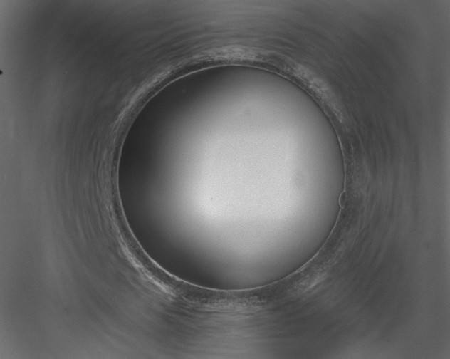 X0000083980625200702232045