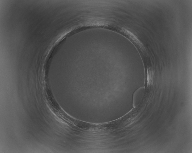 X0000083980627200702232045