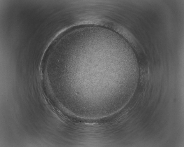 X0000083980628200702232045