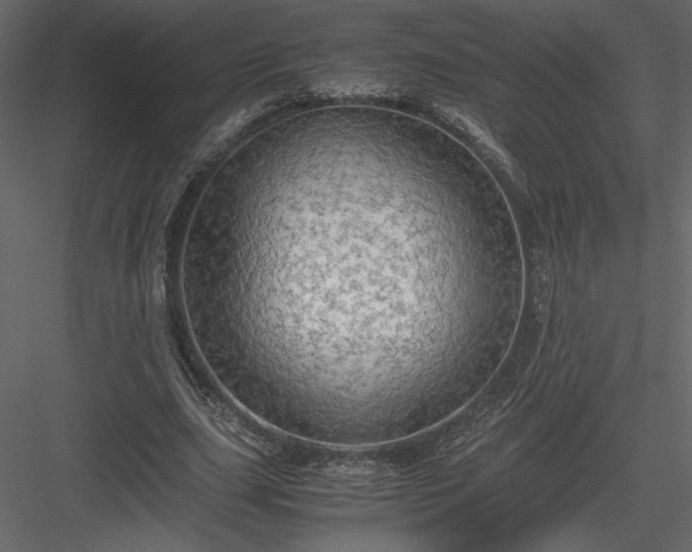X0000083980631200702232045