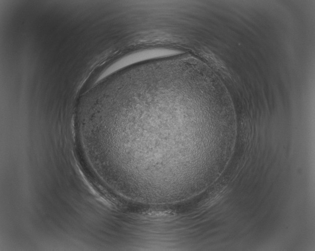 X0000083980638200702232045