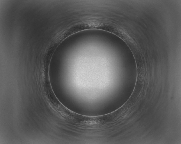 X0000083980639200702232045
